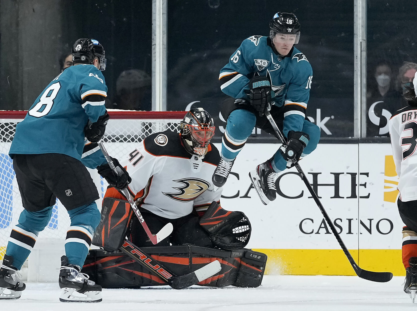 APTOPIX Ducks Sharks Hockey